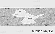 Gray Panoramic Map of Irepo