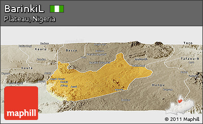 Physical Panoramic Map of BarinkiL, semi-desaturated