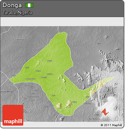 Physical 3D Map of Donga, desaturated