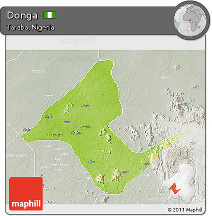 Physical 3D Map of Donga, lighten, semi-desaturated