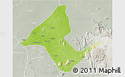 Physical 3D Map of Donga, lighten, semi-desaturated