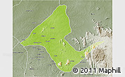 Physical 3D Map of Donga, semi-desaturated