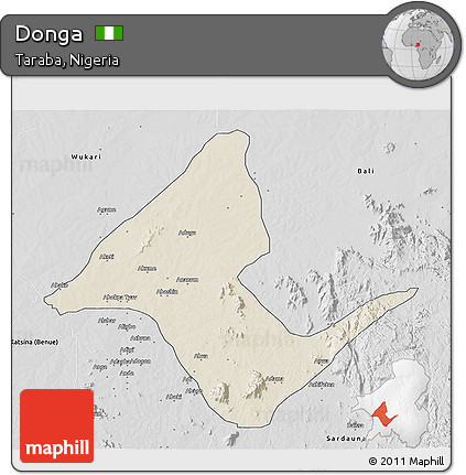 Shaded Relief 3D Map of Donga, desaturated