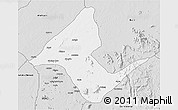Silver Style 3D Map of Donga