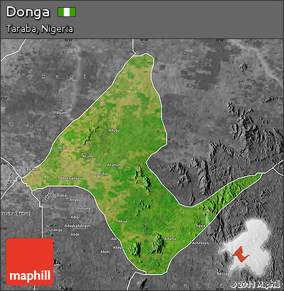 Satellite Map of Donga, desaturated