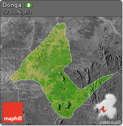 Satellite Map of Donga, desaturated