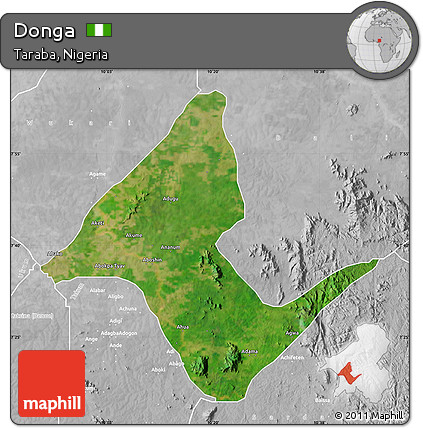 Satellite Map of Donga, lighten, desaturated