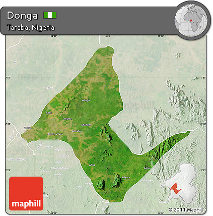 Satellite Map of Donga, lighten