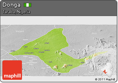 Physical Panoramic Map of Donga, lighten, desaturated