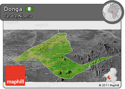 Satellite Panoramic Map of Donga, desaturated