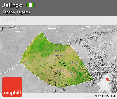 Satellite 3D Map of Jalingo, lighten, desaturated
