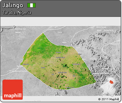 Satellite 3D Map of Jalingo, lighten, desaturated