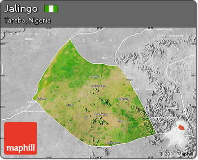 Satellite Map of Jalingo, lighten, desaturated