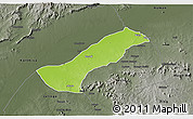 Physical 3D Map of Lau, darken, semi-desaturated