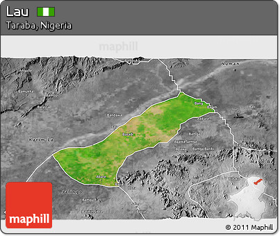 Satellite 3D Map of Lau, desaturated