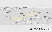 Shaded Relief Panoramic Map of Lau, desaturated