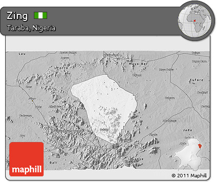 Gray 3D Map of Zing
