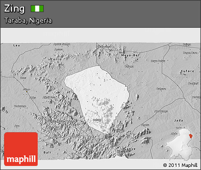 Gray 3D Map of Zing