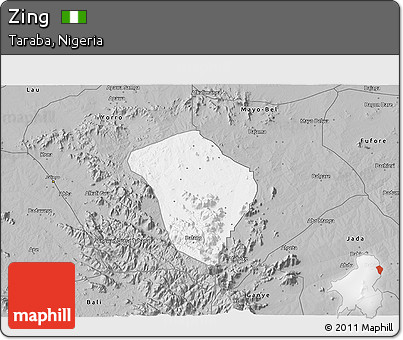 Gray 3D Map of Zing