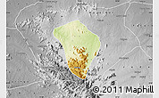 Physical Map of Zing, desaturated