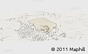 Shaded Relief Panoramic Map of Zing, lighten