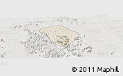 Shaded Relief Panoramic Map of Zing, lighten, semi-desaturated