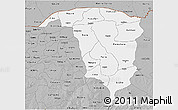 Gray 3D Map of Yobe