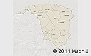 Shaded Relief 3D Map of Yobe, lighten, semi-desaturated