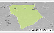 Physical Panoramic Map of Bade, desaturated