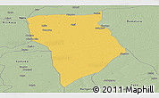 Savanna Style Panoramic Map of Bade
