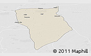 Shaded Relief Panoramic Map of Bade, lighten, desaturated