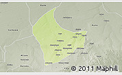 Physical 3D Map of Nangere, semi-desaturated
