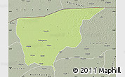 Physical Map of Nguru, semi-desaturated