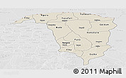 Shaded Relief Panoramic Map of Yobe, lighten, desaturated