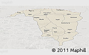 Shaded Relief Panoramic Map of Yobe, lighten, semi-desaturated