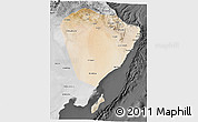Satellite 3D Map of A Sharqiya, desaturated