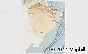 Satellite 3D Map of A Sharqiya, lighten