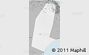 Gray 3D Map of Biddiya