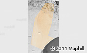 Satellite 3D Map of Biddiya, desaturated