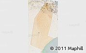 Satellite 3D Map of Biddiya, lighten