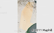 Satellite 3D Map of Biddiya, semi-desaturated