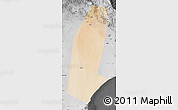 Satellite Map of Biddiya, desaturated