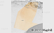 Satellite Panoramic Map of Biddiya, lighten, desaturated