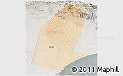 Satellite Panoramic Map of Biddiya, lighten, semi-desaturated