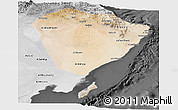 Satellite Panoramic Map of A Sharqiya, desaturated