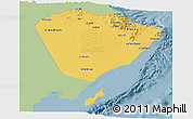 Savanna Style Panoramic Map of A Sharqiya, single color outside