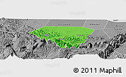 Political Panoramic Map of A Rustaq, desaturated