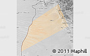 Satellite Map of Dhank, desaturated