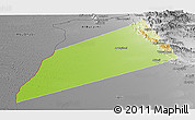 Physical Panoramic Map of Dhank, desaturated