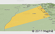 Savanna Style Panoramic Map of Dhank